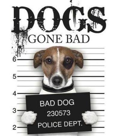 Cover for Jack Russell · Dogs Gone Bad (Hardcover bog) (2017)