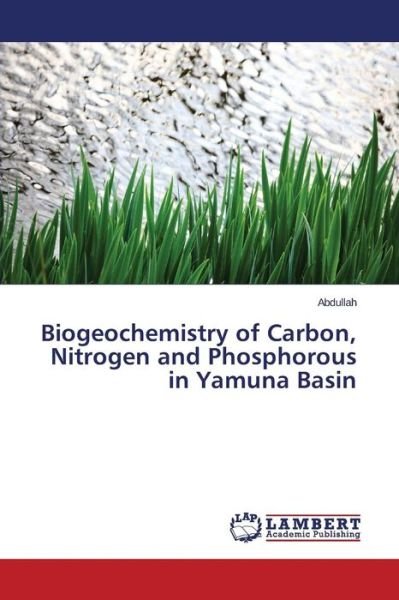 Cover for II Abdullah · Biogeochemistry of Carbon, Nitrogen and Phosphorous in Yamuna Basin (Paperback Book) (2015)