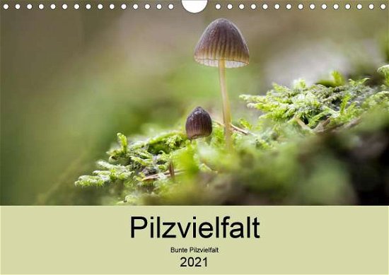 Pilzvielfalt (Wandkalender 2021 DI - Reim - Bøger -  - 9783672369217 - 