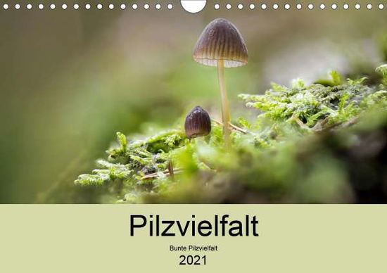 Pilzvielfalt (Wandkalender 2021 DI - Reim - Böcker -  - 9783672369217 - 