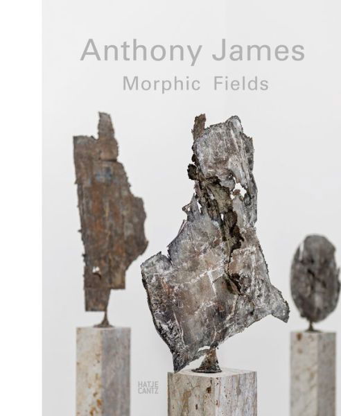 Cover for Christian Kracht · Anthony James: Morphic Fields (Hardcover bog) (2014)