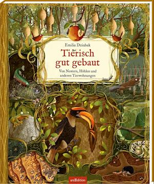 Cover for Emilia Dziubak · Tierisch gut gebaut – Von Nestern, Höhlen und anderen Tierwohnungen (Book) (2024)