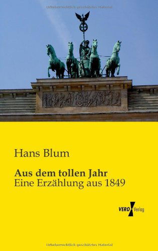 Cover for Hans Blum · Aus dem tollen Jahr: Eine Erzahlung aus 1849 (Paperback Book) [German edition] (2019)