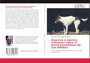 Cover for Fernandez · Avances y nuevos enfoques sob (Book)