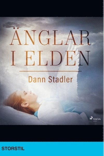 Cover for Dann Stadler · Änglar i elden (Bok) (2019)
