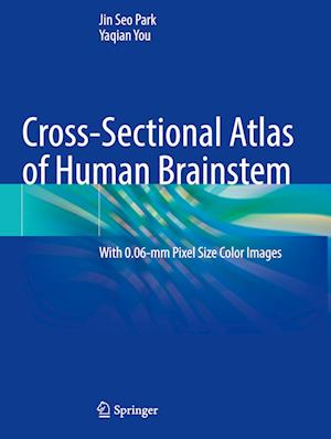 Cover for Jin Seo Park · Cross-Sectional Atlas of Human Brainstem: With 0.06-mm Pixel Size Color Images (Paperback Book) [2023 edition] (2024)