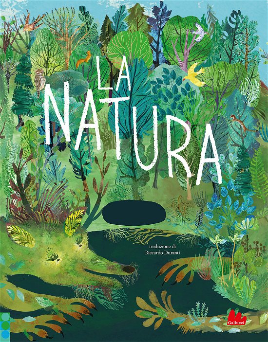 Cover for Yuval Zommer · La Natura. Ediz. A Colori (Bok)