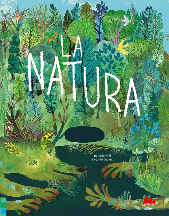 Cover for Yuval Zommer · La Natura. Ediz. A Colori (Bog)