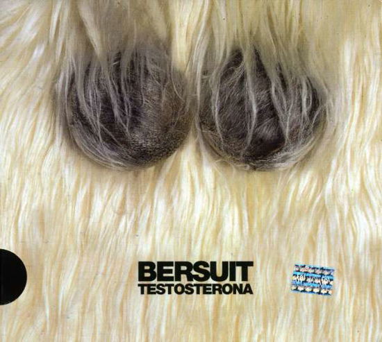 Testosterona - Bersuit Vergarabat - Music - POLYDOR - 0602517457218 - December 18, 2007