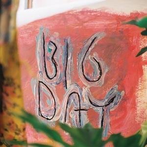 Cover for Loose Tooth · Big Day (LP) [Coloured edition] (2017)