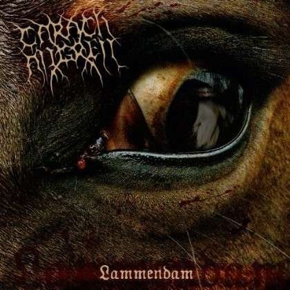 Cover for Carach Angren · Lammendam (LP) [Reissue edition] (2013)