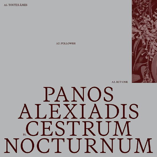 Cover for Panos Alexiadis · Cestrum Nocturnum (LP) (2025)