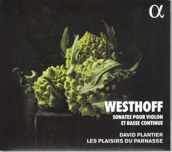 Cover for Westhoff / Plantier · Sonates Pour Violon (CD) (2021)