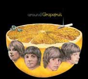 Cover for Grapefruit · Around Grapefruit (CD) [Japan Import edition] (2016)