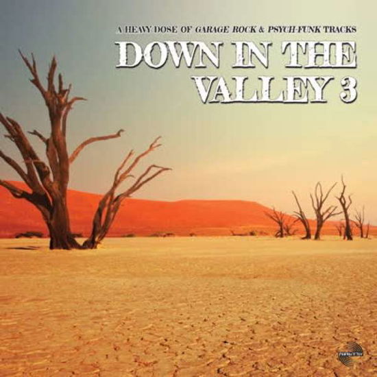 Cover for Aa.vv. · Down In The Valley 3 Various Artists Lp (LP) (2024)
