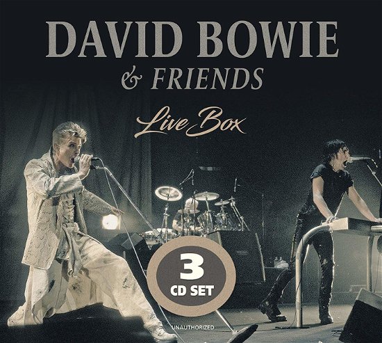 Live Box - Bowie,david & Friends - Música - SPV - 6483817110218 - 13 de marzo de 2020
