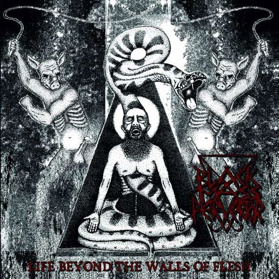 Life Beyond the Walls of Flesh - Black Mass Pervertor - Musiikki - ABP8 (IMPORT) - 7350057884218 - perjantai 1. maaliskuuta 2024