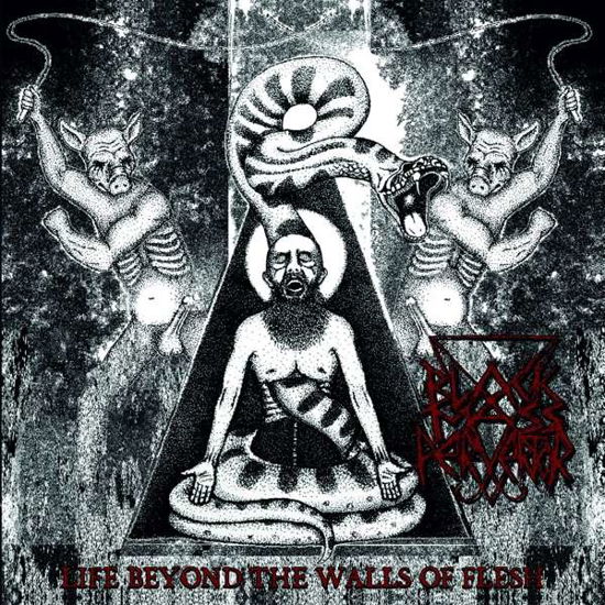 Life Beyond the Walls of Flesh - Black Mass Pervertor - Música - ABP8 (IMPORT) - 7350057884218 - 1 de marzo de 2024