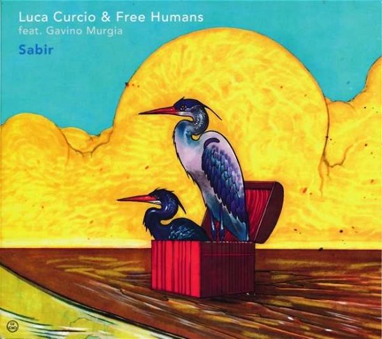 Cover for Curcio, Luca &amp; Free Humans · Sabir (CD) (2019)