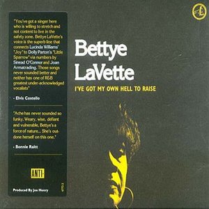 Cover for Bettye Lavette · I've Got My Own Hell to R (LP) (2008)