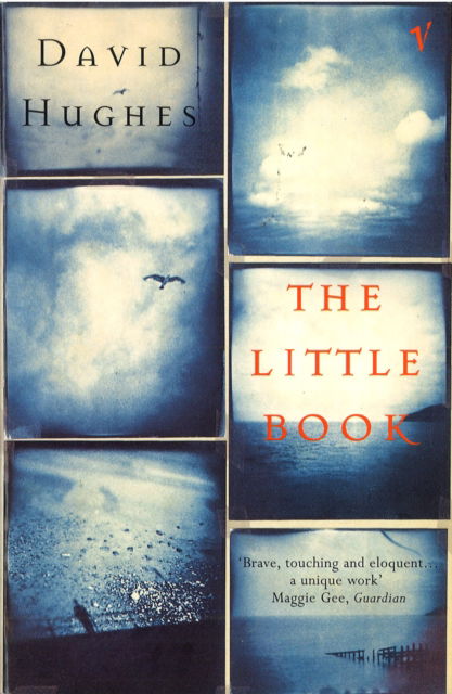 The Little Book - David Hughes - Books - Vintage Publishing - 9780099593218 - January 2, 1997