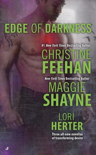 Cover for Christine Feehan · Edge of Darkness (Paperback Book) (2015)