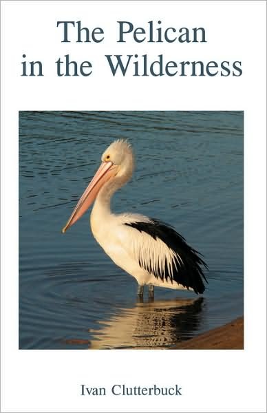 Cover for Ivan Clutterbuck · The Pelican in the Wilderness (Pocketbok) [1st Ed edition] (2008)