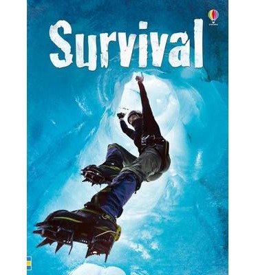 Survival - Henry Brook - Bøker - Usborne Publishing Ltd - 9781409564218 - 1. mai 2014