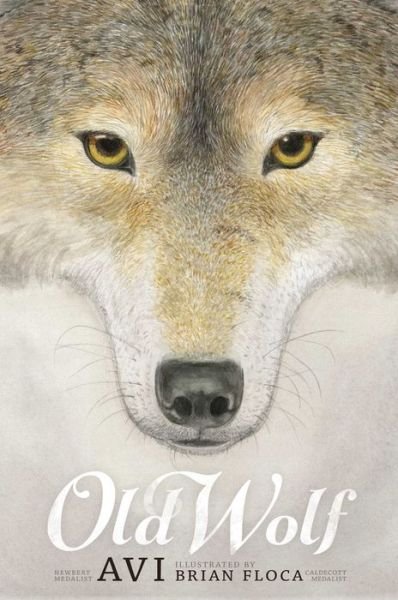 Cover for Avi · Old Wolf (Hardcover Book) (2015)