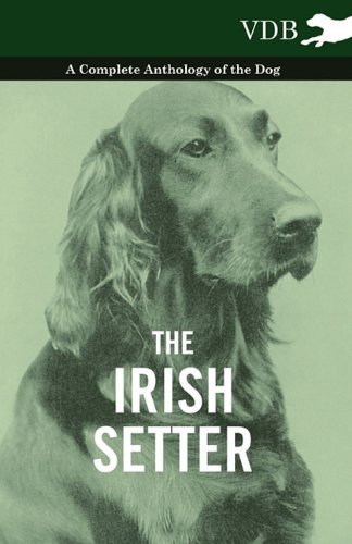 Cover for The Irish Setter - a Complete Anthology of the Dog (Pocketbok) (2010)