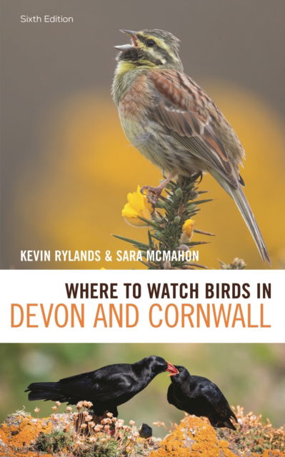 Cover for Kevin Rylands · Where to Watch Birds in Devon and Cornwall: 6th edition - Where to Watch Birds (Paperback Book) (2025)