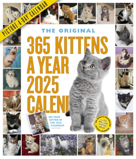 Cover for Workman Calendars · 365 Kittens-A-Year Picture-A-Day® Wall Calendar 2025 (Calendar) (2024)