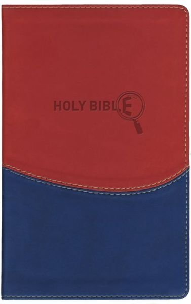 Cover for Hendrickson Publishers · NRSV Kids Study Bible with the Apocrypha (Leather Book) [Blue/Red Imitation] (2010)