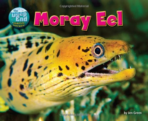 Cover for Jen Green · Moray Eel (Science Slam: the Deep End-animal Life Underwater) (Hardcover Book) (2013)