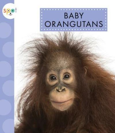 Baby Orangutans - K C Kelley - Books - Amicus - 9781681513218 - 2018