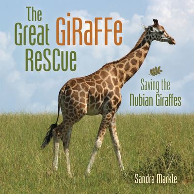 Cover for Sandra Markle · Great Giraffe Rescue (Book) (2023)