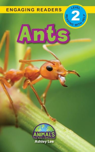 Cover for Ashley Lee · Ants (Hardcover Book) (2020)