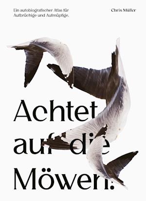 Cover for Chris Müller · Achtet auf die Möwen! (Book) (2023)