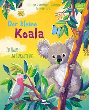 Cover for Kristina Scharmacher-Schreiber · Der kleine Koala - Zu Hause im Eukalyptus (Book) (2023)