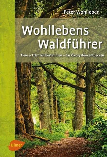 Cover for Wohlleben · Wohllebens Waldführer (Buch)