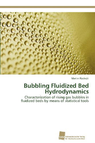 Cover for Martin Rüdisüli · Bubbling Fluidized Bed Hydrodynamics: Characterization of Rising Gas Bubbles in Fluidized Beds by Means of Statistical Tools (Paperback Book) (2012)
