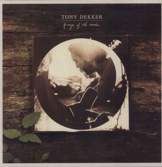 Cover for Tony Dekker · Prayer Of The Woods (LP) (2013)