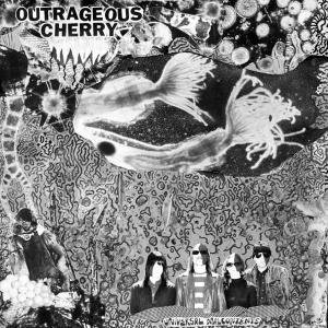 Cover for Outrageous Cherry · Universal Malcontents ORANGE VINYL (LP) (2009)