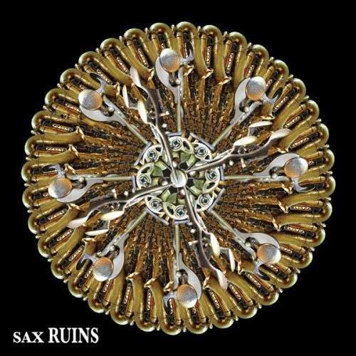 Cover for Sax Ruins · Blimmguass (LP) (2013)