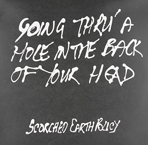 Going Thru a Hole in the Back of Your Head - Scorched Earth Policy - Musik - SILTBREEZE - 0655030115219 - 20. august 2013