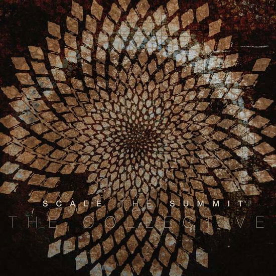 Cover for Scale The Summit · The Collective - Silver Series (LP) [Coloured edition] (2018)