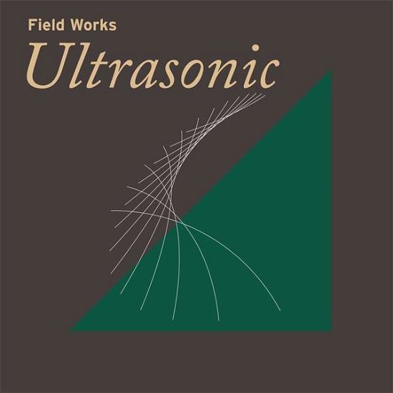 Cover for Field Works · Ultrasonic (LP) (2020)