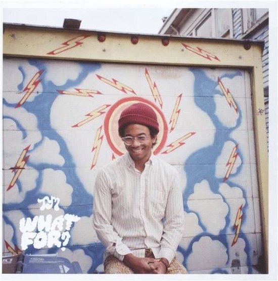 What For? - Toro Y Moi - Music - CARPARK - 0675517010219 - April 24, 2015
