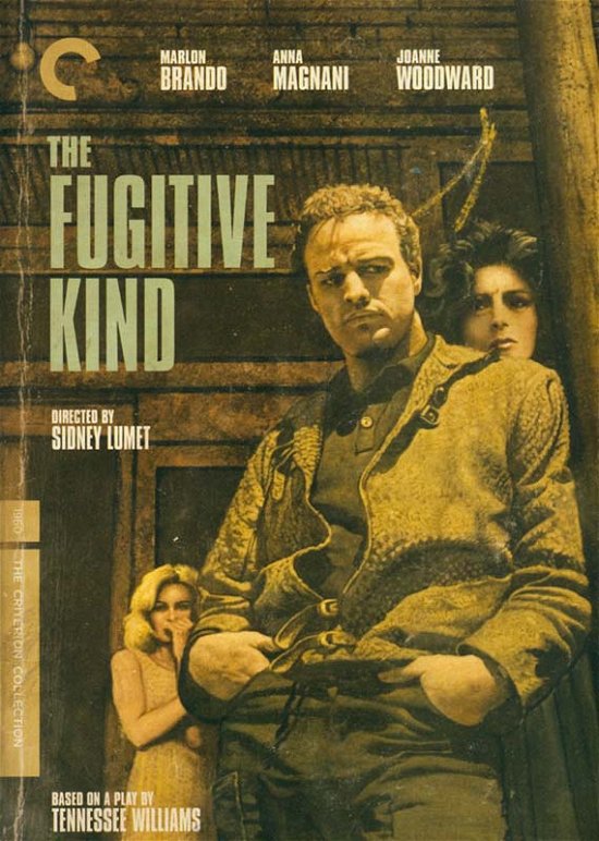 Cover for Criterion Collection · Fugitive Kind / DVD (DVD) [Widescreen edition] (2010)