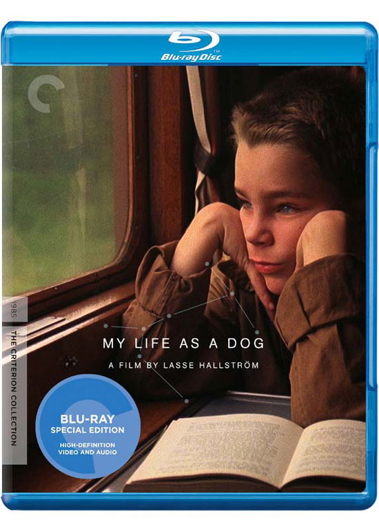 Cover for Criterion Collection · My Life As a Dog/bd (Blu-ray) (2011)